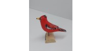 Oiseau Cardinal
