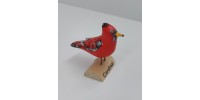 Oiseau Cardinal